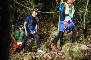 BIB: 
                            <button type="button" onclick="openModal(19382499)" class="btn btn-primary btn-sm float-right btn-popup" data-toggle="modal" data-target=".modal-high-quality">
                        <i class="fas fa-shopping-cart"></i> Add to Cart
                    </button>
                                            <button type="button" onclick="isThisMe(19382499, true)" class="btn btn-success btn-sm float-right btn-popup btn-isme hidden" data-toggle="tooltip" data-placement="bottom" title="นี่คือรูปของคุณใช่ไหม คลิกที่นี่เพื่อเอาเข้าอัลบั้ม">
                        <i class="fas fa-plus"></i> Add to album
                    </button>
                    <button type="button" onclick="isThisMe(19382499, false)" class="btn btn-warning btn-sm float-right btn-popup btn-isnotme hidden">
                        <i class="fas fa-ban"></i> Remove from album
                    </button>